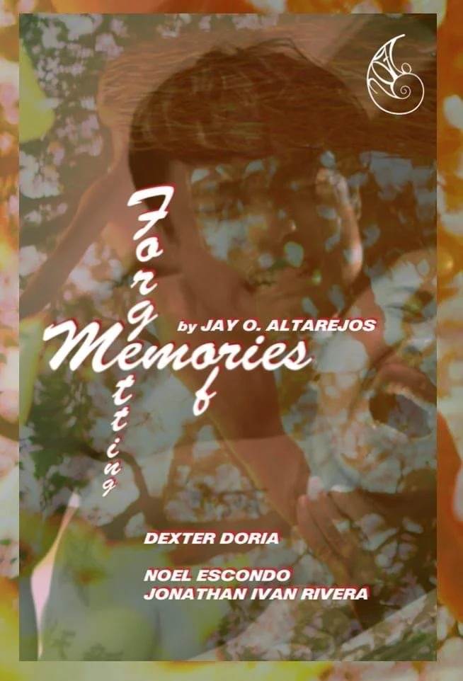 Воспоминания о забвении - главный постер